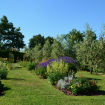 Sommerakademie, Toskana 2017 