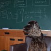 Kolloquium 'Gesellschaft & Gerechtigkeit' 