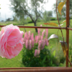 Sommerakademie1 Toskana 2019